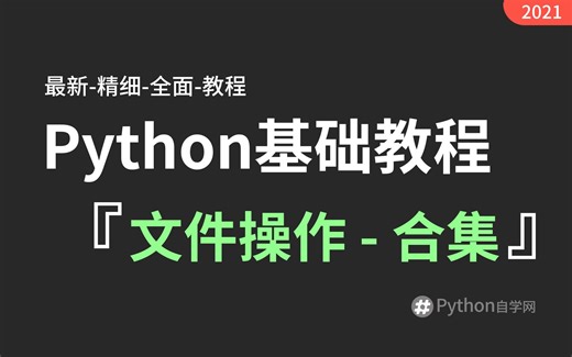 11-6【python自学网】文件操作-文件和文件夹操作-os模块-实战案例一 python基础入门精讲视频教程