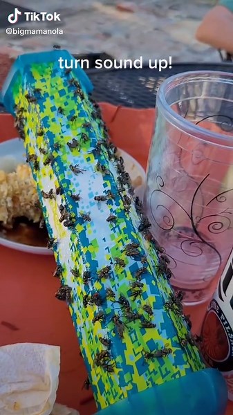 Effective Sound-Based Fly Trap | Bigmamaola