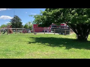 Emus running & playing in hose water!