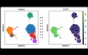 Scanpy clustering