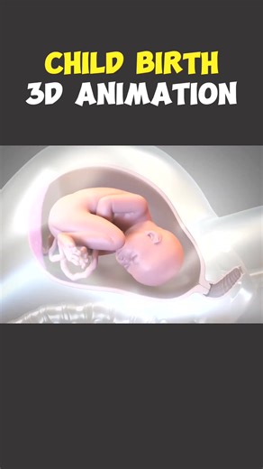 4K views · 14 reactions | Child birth Through Normal Deliver 3D Animation #normaldelivery #normaldelivery♥️ #normaldelivery❤️ #normaldelivery #childbirth #childbirtheducation #birth #childbirthtips #childbirthpreparation #childbirthstory #childbirthclass #medical3danimation #medicalprocedure #3danimation #3dmedicalanimation | Mix Dancing Events | Facebook