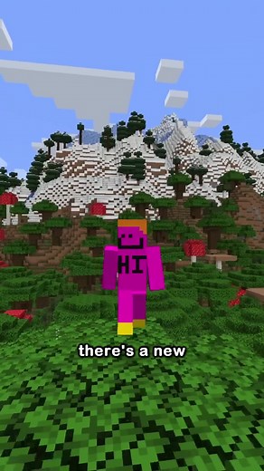 Minecraft Java Edition Adds Rare Bedrock Features