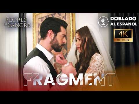 Flowers of Blood Trailer Dubbed in Spanish