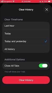 How to Clear Safari or Any Other Browser Cache on iPhone