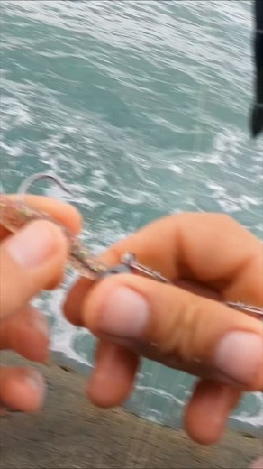 28K views · 3.1K reactions | Estreia em grande estilo do Meredith Crazy shinner de 7cm! #pesca #rockfishing #meredith #iscasdachina | Robaleiro Fishing | Facebook