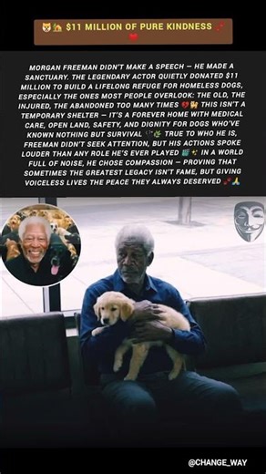 🐶🏡 $11 MILLION OF PURE KINDNESS 🐾❤️