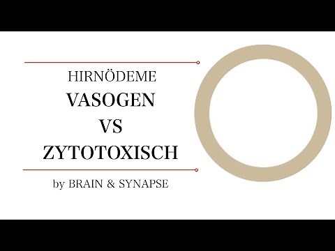 Vasogen vs zytotoxisch I Hirnödeme I Neuroradiologie I Brain & Synapse