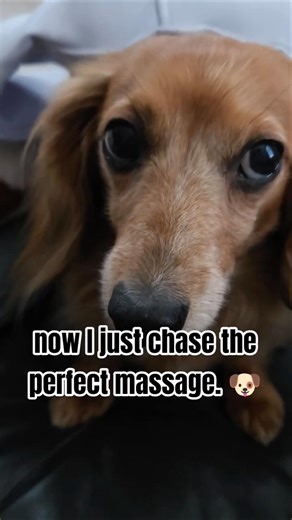 Built Like a Sausage. Acts Like a King.