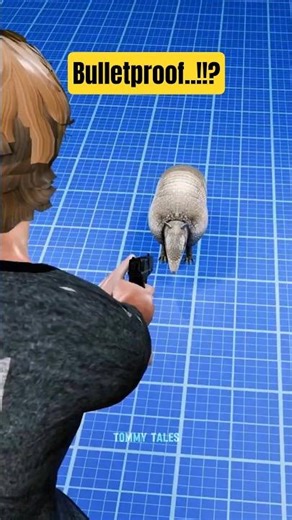 Can an Armadillo’s Shell Stop a Bullet? 🤔