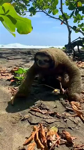 Amazing Wildlife Facts About Diverse Animal Species