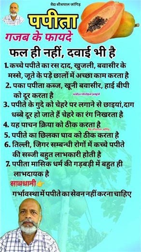 पपीता के फायदे ||benefits of papita ||vaidya shishpal jangid