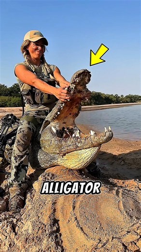 What To Do If an Alligator Is Nearby 😳