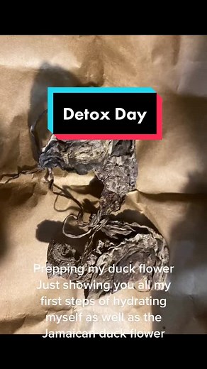 Duckflowerdetox on TikTok