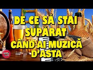 PETRECERE - NU STA SUPĂRAT, HAI ŞI PETRECE, HAI CU TUDOREL LA O BERE RECE!!!