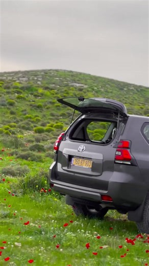 הסרטונים של gnobi_F16 (@gnobi_f16) עם الصوت الأصلي - gnobi_F16