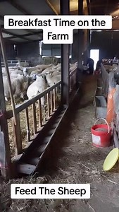 12K views · 66 reactions |  BREAKFAST ON THE FARM ❤️  Rachel Griffiths via TikTok | Farmers Weekly | Facebook