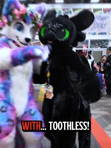 Could You Train This Dragon? Furry Convention Insights