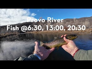 Provo River Fishing - HD Trout and Jigs