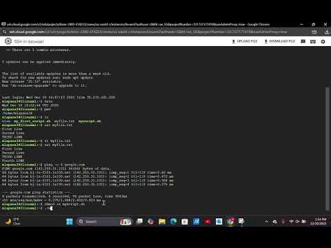 GOOGLE/LINUX LAB DEMONSTRATION