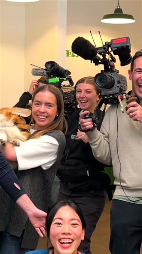 I have an announcement! #dogsbehavingverybadly