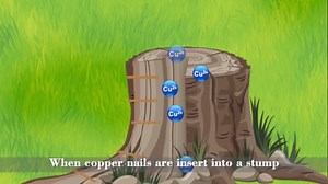 15pcs 4 Inch Long Copper Nails for Killing Trees – One Strike Perfection Kit with Wood Auger Bit– Effective Removal for Stumps, Roots & Landscaping – Eco-Friendly & Easy to Use