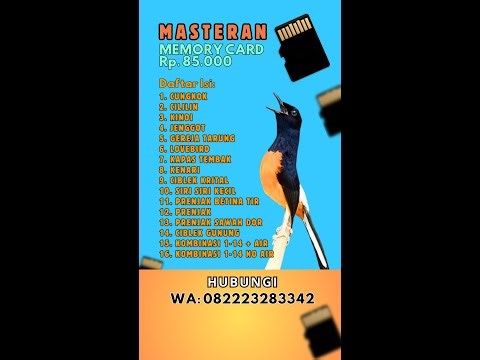 608 🔴 MASTERAN MURAI BATU GACOR TERBAIK UNTUK MURAI BATU JADI JUARA