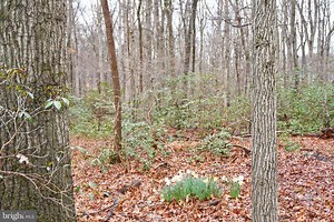 Nottingham Rd, Elkton, MD 21921 - MLS MDCC2008504 - Coldwell Banker