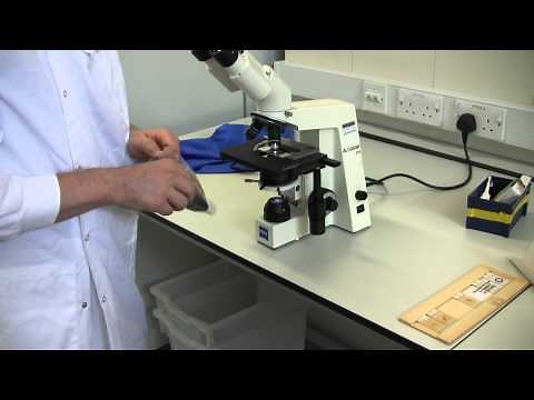 How to set up the Zeiss Microscope