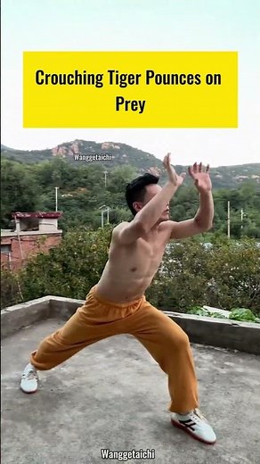 Yi Jin Jing – Crouching Tiger Pounce Pose