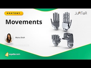 Phalanges of Hand Bone | Movements | Anatomy of Upper Limb | Skeletal System for Medical Students