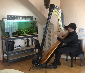 Perfect - Ed Sheeran