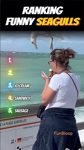 Seagulls vs Human Food - The Ultimate Showdown #funnyseagulls #funny