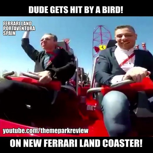 Dude Gets Hit By A Bird on new Ferrari Land Roller Coaster! Red Force