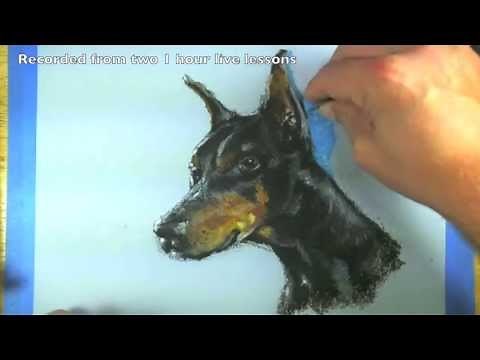 How to Draw a Dog Portrait - Oil Pastels