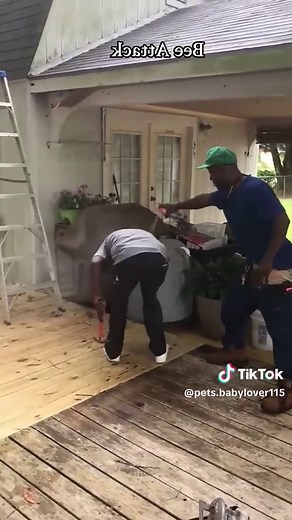 Cleaning the Beehive Fails: A Hilarious Experience