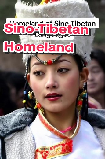 Unveiling the Origins of Sino-Tibetan Languages