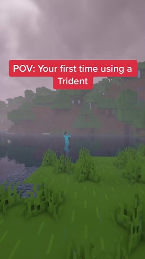 Better than an Elytra #Minecraft #minecraftmemes #HuluChippendalesDance #fyp #Shockbyte