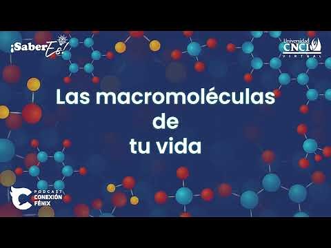 SaberEs - Las macromoléculas de tu vida