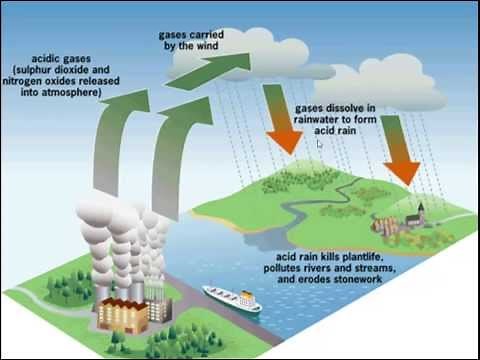 Acid rain for iGCSE Biology