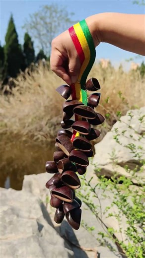 Wearable Rhythms 🥁 Rasta Seed Rattle ASMR: Dance, Drum, Heal SYL95281#shorts