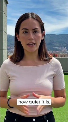 PuroAir Review About Help with Allergies