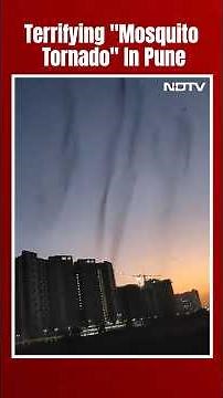 Swarm Of Mosquitoes Form 'Tornado' Over Pune River