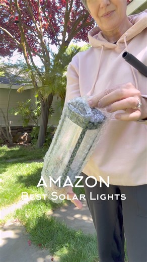 174K views · 379 reactions | https://urlgeni.us/amzn/Solarwalkway These gorgeous solar lights are uniquely designed to charge faster and last longer and provide a brighter light than most other solar lights!They have durable stakes for easy installation, retro bulbs for a classic look and drainage so they never fog up!  #amazonhome #amazonfinds #amazonmusthaves #amazonfavorites #solarlights #outdoorliving #curbappeal | The Design Twins | Facebook