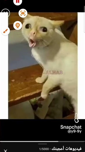 هههههه😂😂 #اكبسلور #لايك_اشتراك_بالقناه_ليصلك_كل_جديد