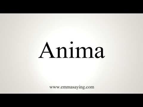 How To Pronounce Anima