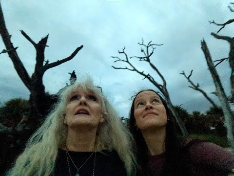 BIGFOOT CAUGHT ON CAMERA & Florida Vampire Sightings EXPLAINED