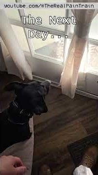 Winter Storm Fern January 25-26 2026 - A Snow Day in My Life