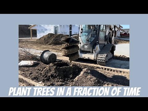 Using An Auger To Plant Trees