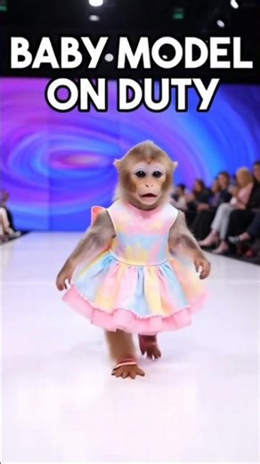 Is this even real? 😳 Monkey model on runway! 👠#shorts #babymonky #cute #shocking #monkeybaby#model