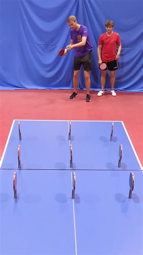 Discover the Future of Robotics: BalliBot Mogis